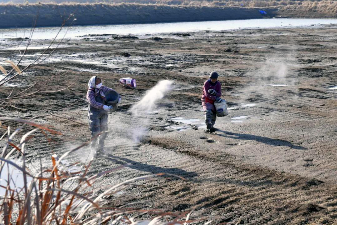 77���� �C ȫ����ȫ����̬�ȵ���������ֱ��ƽ̨