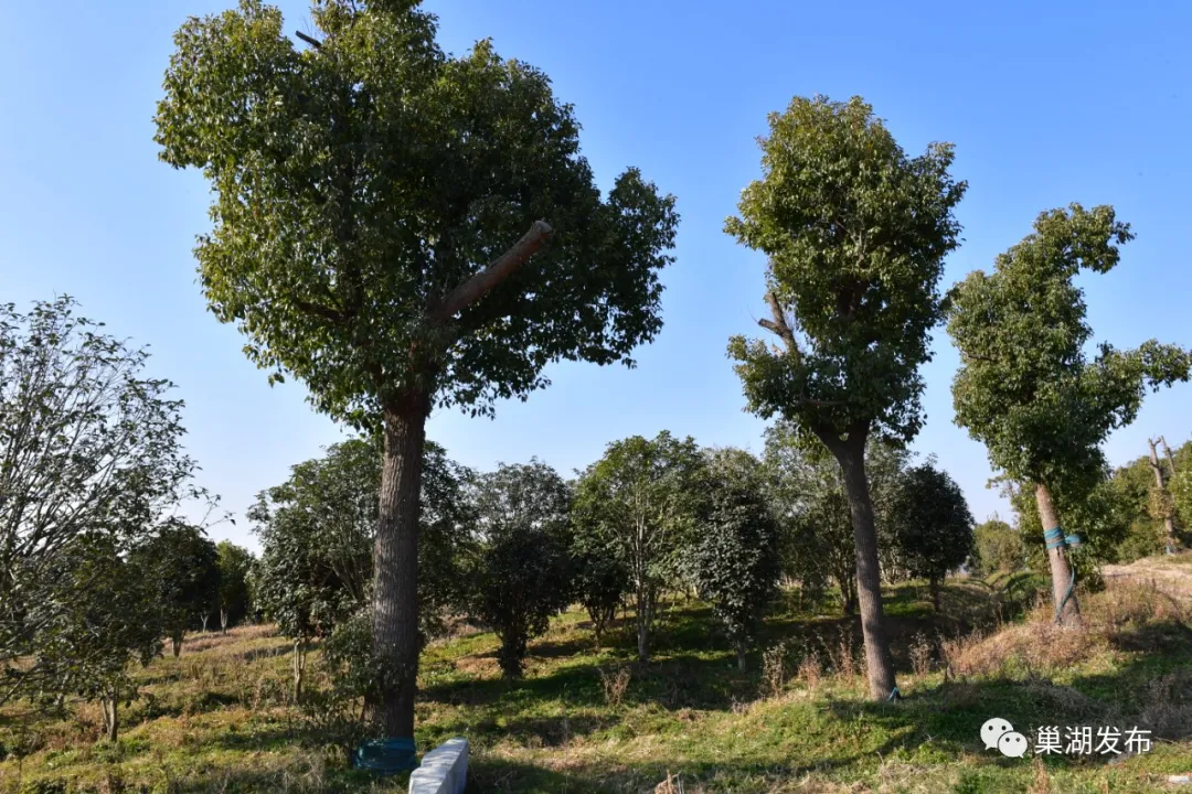 77���� �C ȫ����ȫ����̬�ȵ���������ֱ��ƽ̨