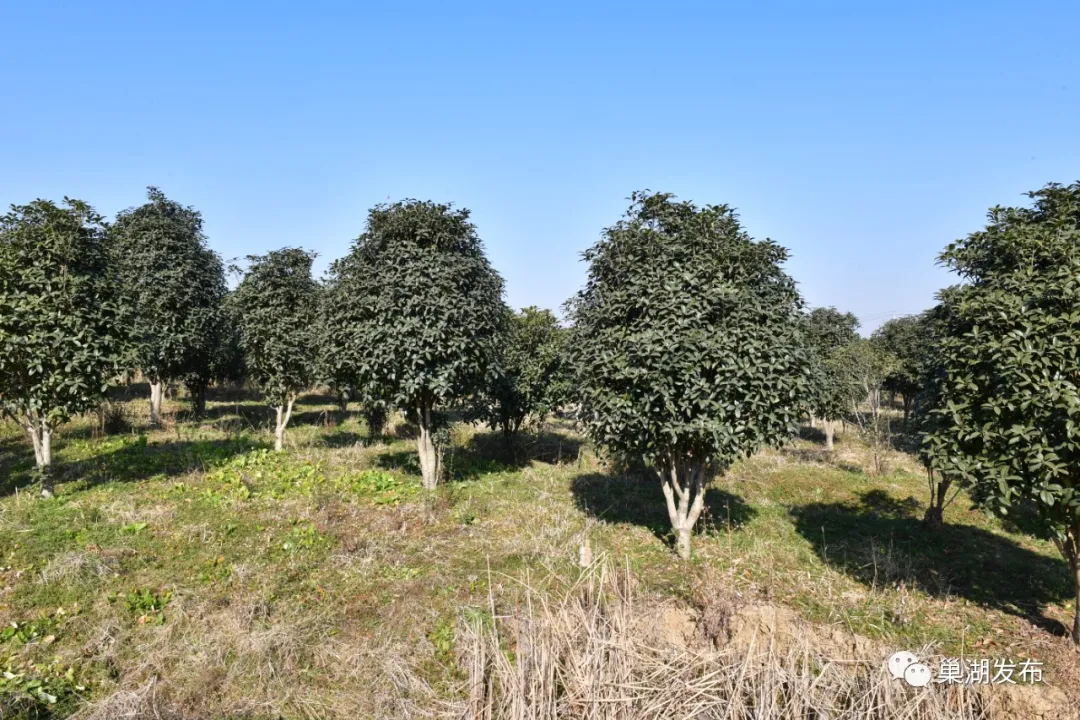 77���� �C ȫ����ȫ����̬�ȵ���������ֱ��ƽ̨