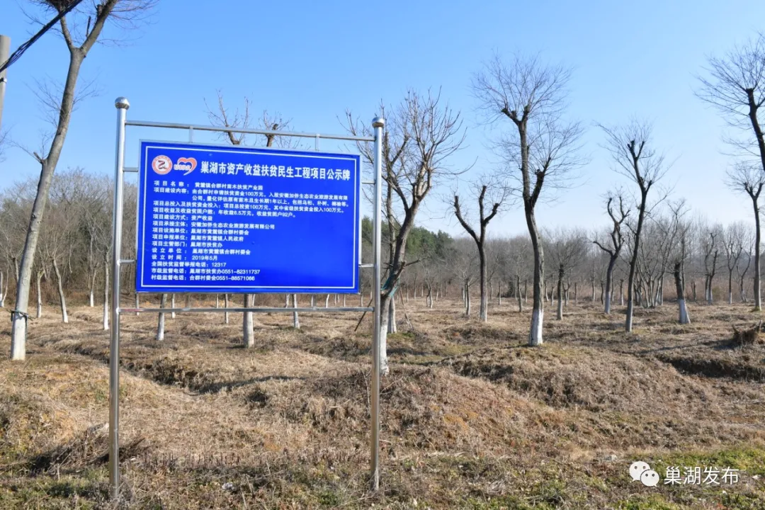 77���� �C ȫ����ȫ����̬�ȵ���������ֱ��ƽ̨