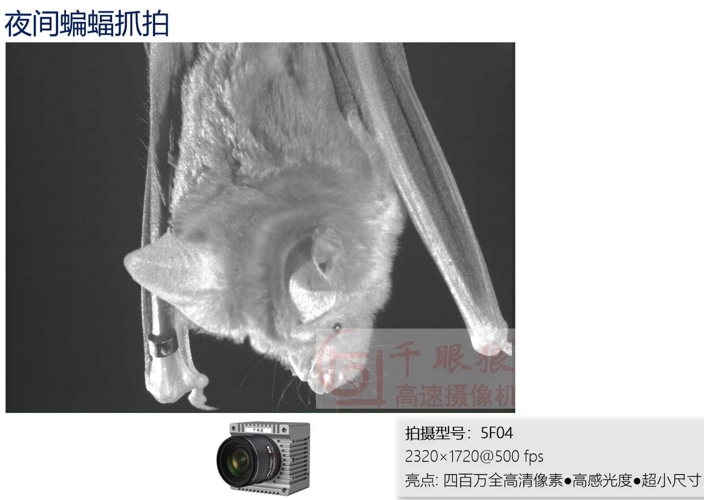 77���� �C ȫ����ȫ����̬�ȵ���������ֱ��ƽ̨