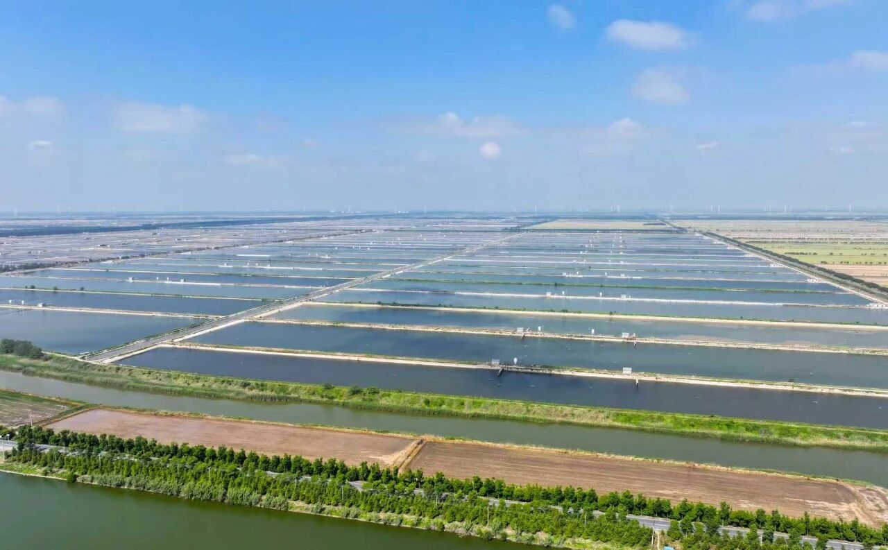 77���� �C ȫ����ȫ����̬�ȵ���������ֱ��ƽ̨