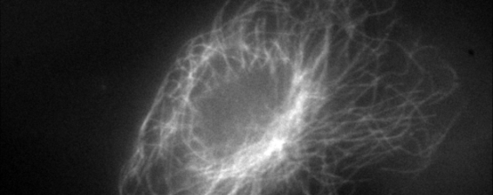 77���� �C ȫ����ȫ����̬�ȵ���������ֱ��ƽ̨