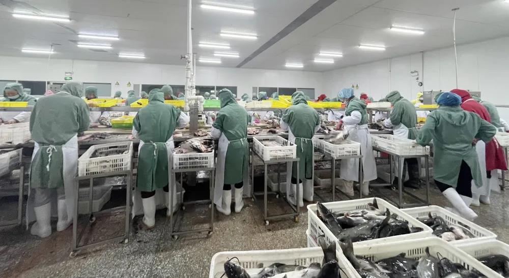 77���� �C ȫ����ȫ����̬�ȵ���������ֱ��ƽ̨