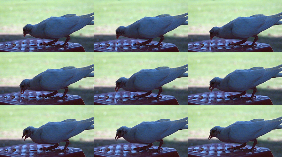 77���� �C ȫ����ȫ����̬�ȵ���������ֱ��ƽ̨