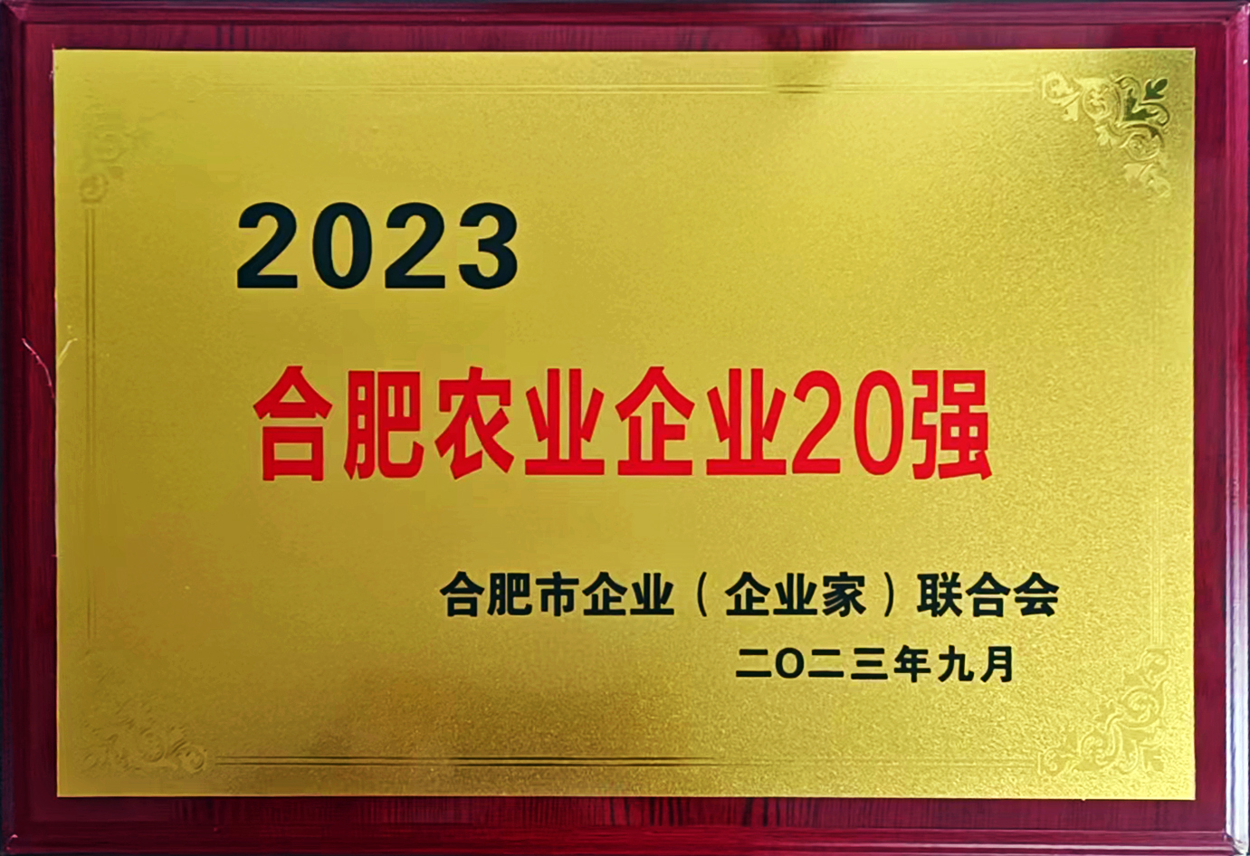 77体育 – 全网最全最有态度的体育赛事直播平台