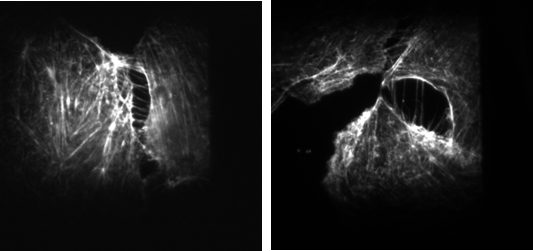 77体育 – 全网最全最有态度的体育赛事直播平台