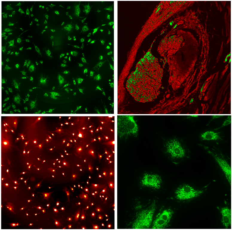 77体育 – 全网最全最有态度的体育赛事直播平台