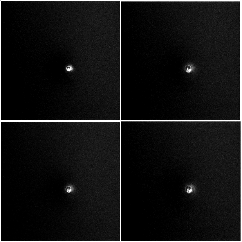 77体育 – 全网最全最有态度的体育赛事直播平台